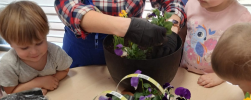 Wiosenne porządki w ogrodzie