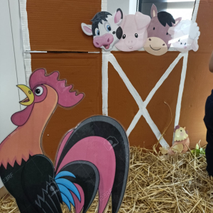 Dekoracja sali u starszaków