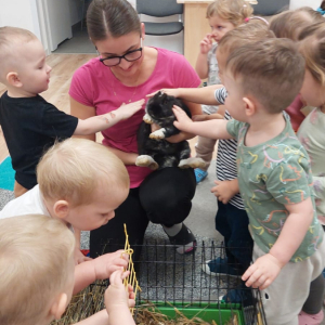 Poznajemy zwierzęta domowe