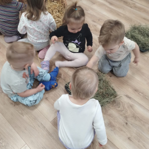 Dokarmiamy zwierzęta zimą